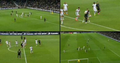 Video Review quad screen