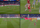 Video Review quad screen